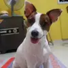 Fiona Ng - @fiona.ng0 - TikTok