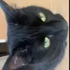 Fifi <3 - @fiona_oliver - TikTok