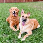 Fiona + Oliver - @fionathegoodgirl - Instagram