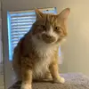 fionaorr725 - @fionaorr725 - TikTok