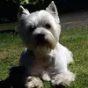 fionaorr8 - @fionaorr8 - TikTok
