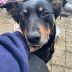 Fiona Pace - @skyetherabb4 - Instagram