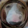 Fiona_Parish - @fiona_parish - TikTok