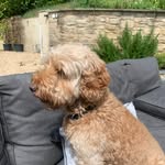 Fiona Patton - @fionapatton2 - Instagram