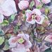 Fiona Payne - Travelling Artist - Facebook