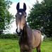 Fiona Payne Photography - Facebook