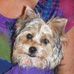 Scarlett Fiona Payne-Vogt - Facebook