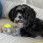 Fiona Peck - @tooks69 - Instagram