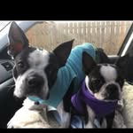 Adventures Of Phoenix & Fiona - @phoenixandfiona4eva - Instagram