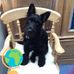 Fiona Pitt - Facebook