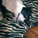 Fiona_pitt - @fio_napitt - Instagram