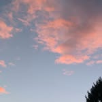 Fiona Post - @leafy.post - Instagram