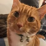 Fiona Potts - @fipottsy - Instagram