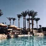Fiona Powell - @fionapowell887 - Instagram