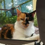 Fiona Powell - @serena_pow - Instagram