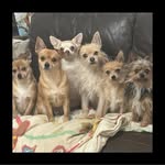 Fiona Powell - @fiona_powell1929 - Instagram