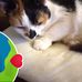 Fiona Powell - Facebook