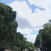 fiona - @fionapua3 - TikTok
