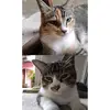 fionapu - @fiena838 - TikTok