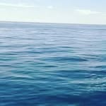 Fiona Purcell - @fiona.purcell.18 - Instagram