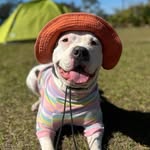 Fiona Queen of Ball - @sleepybeefyfifi - Instagram