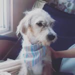 Fiona Ramirez Quiroz - @quirozfionaramirez - Instagram
