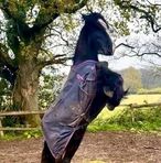 Fiona Ray - Facebook