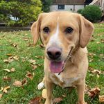 Fiona Reed - @fionareed28 - Instagram