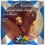 Fiona Reed - @fiona.reed.7737 - Instagram