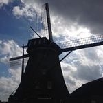 Fiona Reed - @fionareed6601 - Instagram