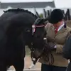 Fiona Reed - @fiona.reed3 - TikTok