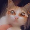 Fiona - @fiona_rich - TikTok