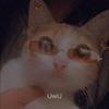 Fiona Rich - @fionarich475 - TikTok