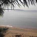 Fiona Richards - @fiona.richards.31 - Instagram