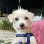 Fiona Rios - Facebook
