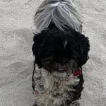 Fiona Ritchie - @fiona.ritchie.3388 - Instagram