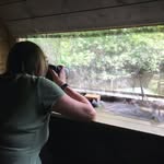 Fiona Ritchie - @fionaritchie45 - Instagram