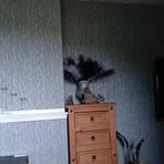Fiona Ritchie - Facebook