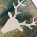 Fiona Rogers - @southbeachdesign - Instagram