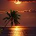 Fiona Ryan - Facebook