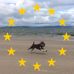 Fiona Scully - Facebook