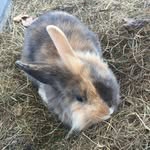 Fiona Schmidt - @fionaschmidt5 - Instagram