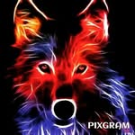 Fiona Schmidt - @fionaschmidt7423 - Instagram