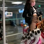 fiona Schmidt - @fionaschmidt804 - Instagram
