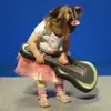 fionaschmidt1 - @fiona.schmidt7 - TikTok