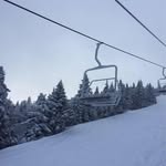 Fiona Shackleton - @fshack4 - Instagram
