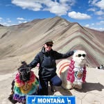 Fiona Sharp - @fiona.sharp.581 - Instagram