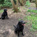 Fiona Sharpe - @fiona_sharpe - Instagram