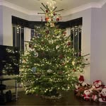 Fiona Sheppard - @sheppfi - Instagram