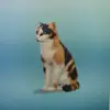 sagafiona - @sagafiona_sims - TikTok